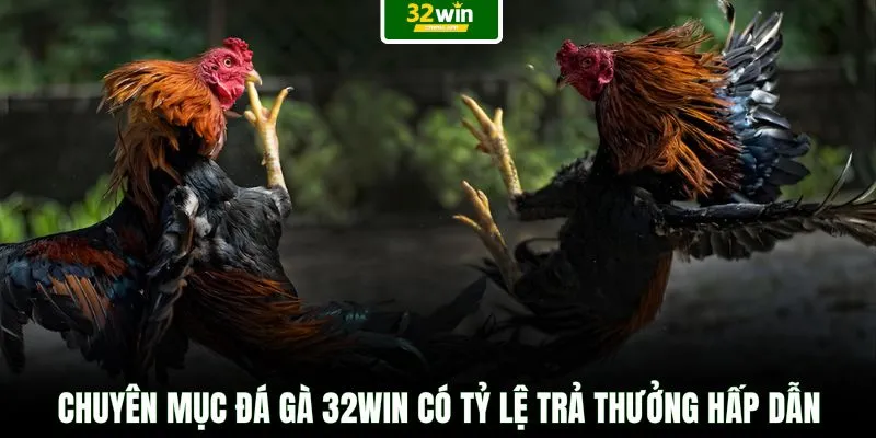 Chuyên mục đá gà 32WIN có tỷ lệ trả thưởng hấp dẫn