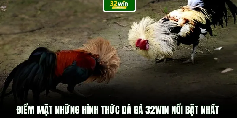 Điểm mặt những hình thức đá gà 32WIN nổi bật nhất